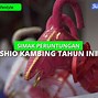 Shio Kambing 13 Desember 2022 Lengkap Dengan Weton Bulan Juli